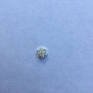 Origami Owl Daisy Charm